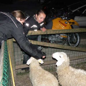 Do Albanii 2009 - Słowenia, pod kempingiem w Bled