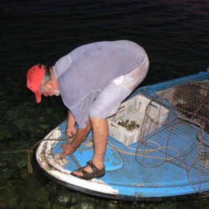 Do Albanii 2009 - świeże ryby w Chorwacji