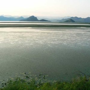 Do Albanii 2009 - Szkoderskie Jezioro w Czarnogórze