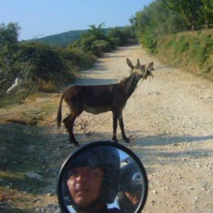 Do Albanii 2009 - osioł na drodze i bezdroża w drodze do Gjirokastra w Albanii