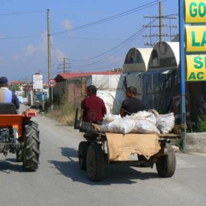 Do Albanii 2009 - wyścig rydwanów w Albanii