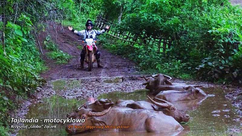VII Nasze Wyprawy Motocyklowe – Tajlandia – motocyklowo