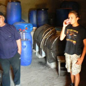 Gruzja motocyklowo 2010 – wyprawa na magiczne Zakaukazie - degustacja gruzińskiego wina