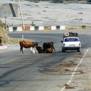 Gruzja motocyklowo 2010 – wyprawa na magiczne Zakaukazie - Gruzja - żywe rondo