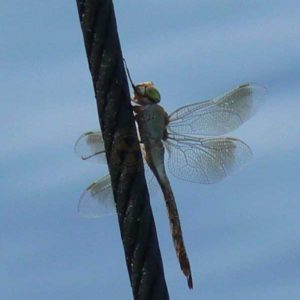 Gruzja 2010 – wyprawa na magiczne Zakaukazie - rejs promem na Morzu Czarnym