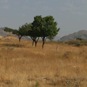 IX Nasze Wyprawy Motocyklowe - SHL do Kirgistanu