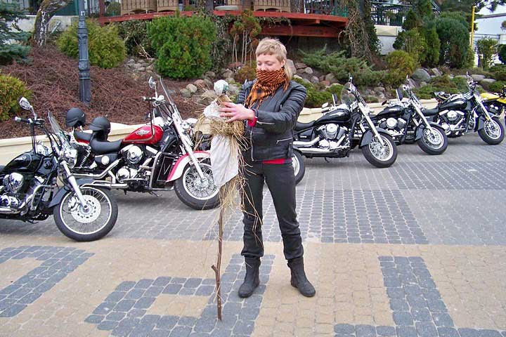 Motocykliści topią marzannę. Nowinki motocyklowe - Radiator - Turystyka motocyklowa - Wyprawy motocyklowe - Podróże motocyklowe - Forum motocyklowe